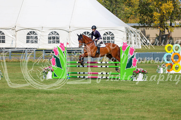 2025 - Shea - Fall Finale - Sunday September 14th - 07172