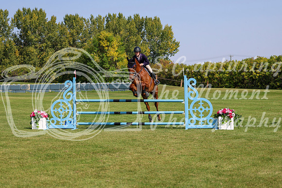2025 - Shea - Fall Finale - Sunday September 14th - 07240