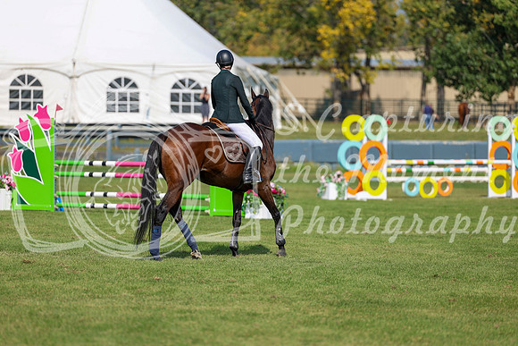 2025 - Shea - Fall Finale - Sunday September 14th - 08487