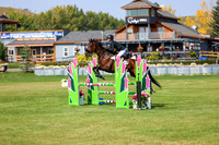 2025 - Shea - Fall Finale - Sunday September 14th - 08501