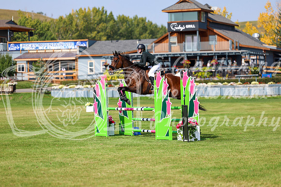 2025 - Shea - Fall Finale - Sunday September 14th - 08502