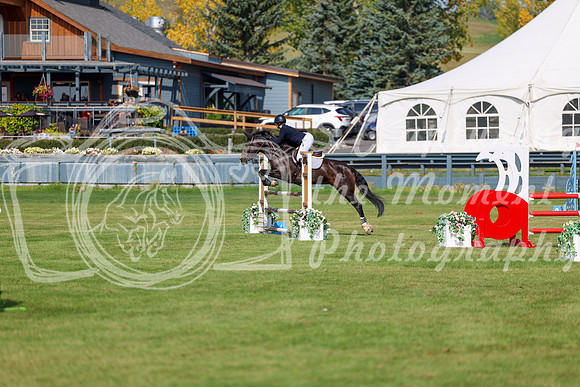 2025 - Shea - Fall Finale - Sunday September 14th - 07060