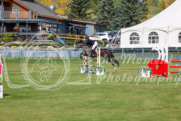 2025 - Shea - Fall Finale - Sunday September 14th - 07061