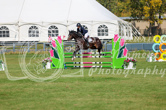 2025 - Shea - Fall Finale - Sunday September 14th - 07069