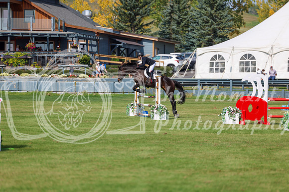 2025 - Shea - Fall Finale - Sunday September 14th - 08566