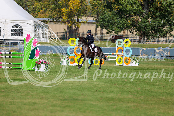 2025 - Shea - Fall Finale - Sunday September 14th - 08570