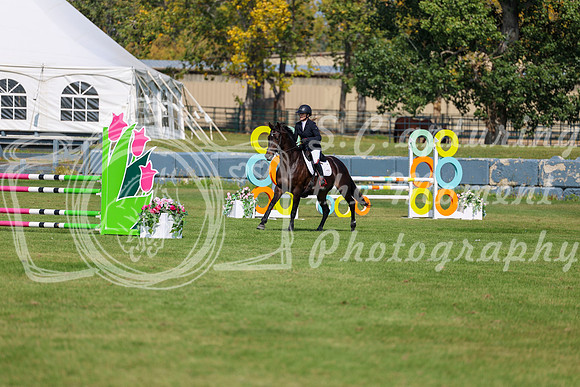 2025 - Shea - Fall Finale - Sunday September 14th - 08572