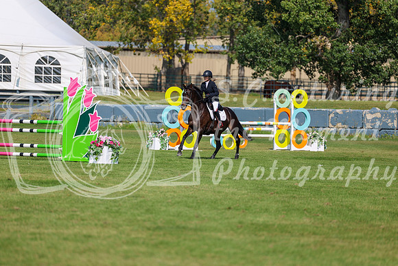 2025 - Shea - Fall Finale - Sunday September 14th - 08571