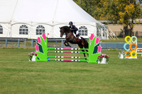 2025 - Shea - Fall Finale - Sunday September 14th - 08574