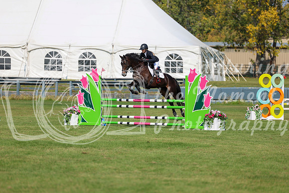 2025 - Shea - Fall Finale - Sunday September 14th - 08575