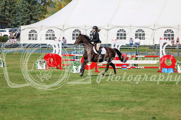 2025 - Shea - Fall Finale - Sunday September 14th - 08689