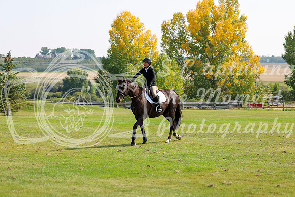 2025 - Shea - Fall Finale - Sunday September 14th - 08758
