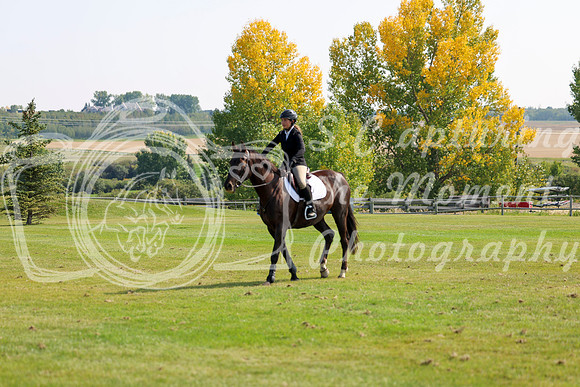 2025 - Shea - Fall Finale - Sunday September 14th - 08759