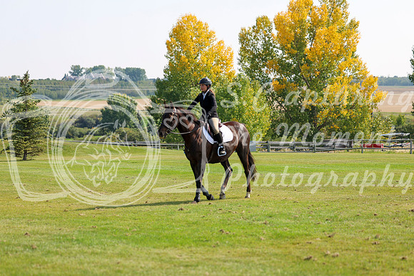 2025 - Shea - Fall Finale - Sunday September 14th - 08761