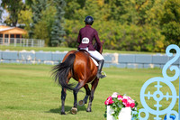 2025 - Shea - Fall Finale - Sunday September 14th - 08767