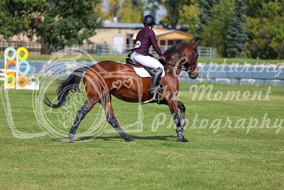2025 - Shea - Fall Finale - Sunday September 14th - 08775