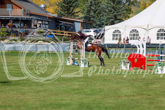 2025 - Shea - Fall Finale - Sunday September 14th - 08777