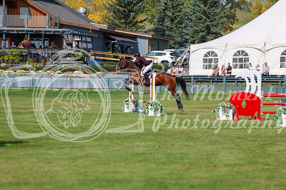 2025 - Shea - Fall Finale - Sunday September 14th - 08779