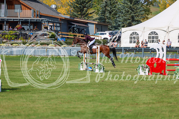 2025 - Shea - Fall Finale - Sunday September 14th - 08780
