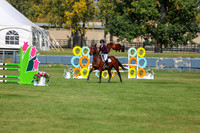 2025 - Shea - Fall Finale - Sunday September 14th - 08782