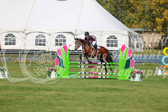 2025 - Shea - Fall Finale - Sunday September 14th - 08787