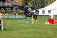 2025 - Shea - Fall Finale - Sunday September 14th - 07432
