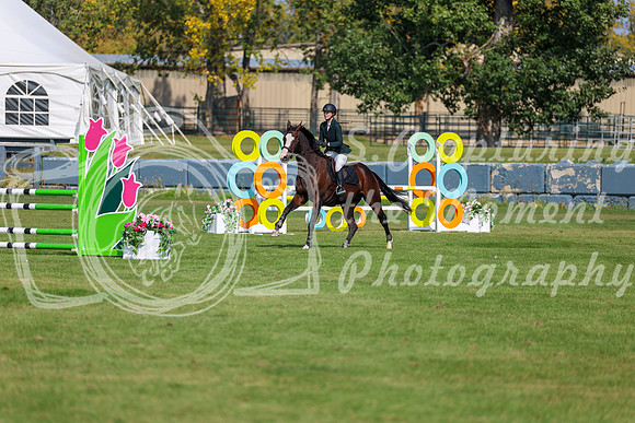 2025 - Shea - Fall Finale - Sunday September 14th - 07435