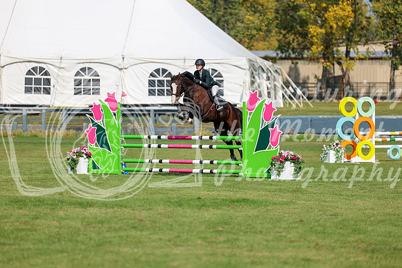 2025 - Shea - Fall Finale - Sunday September 14th - 07440