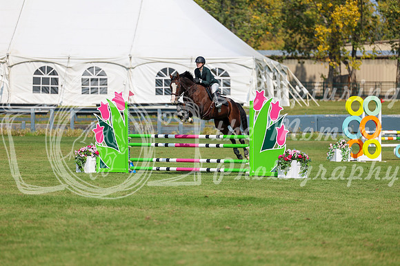 2025 - Shea - Fall Finale - Sunday September 14th - 07441