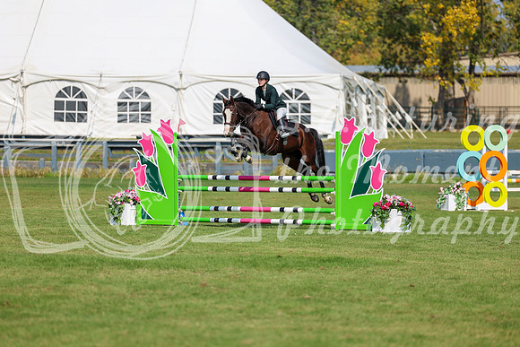 2025 - Shea - Fall Finale - Sunday September 14th - 07442