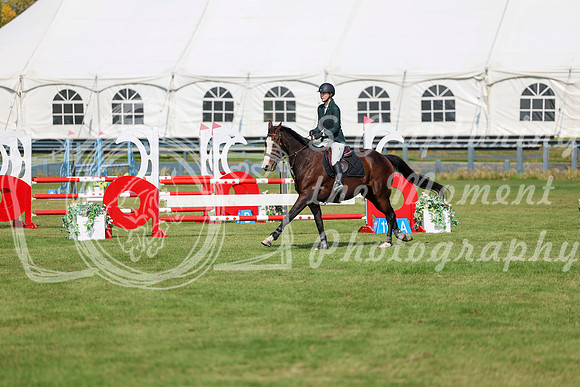 2025 - Shea - Fall Finale - Sunday September 14th - 07445