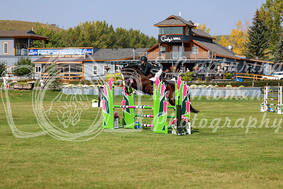 2025 - Shea - Fall Finale - Sunday September 14th - 07448