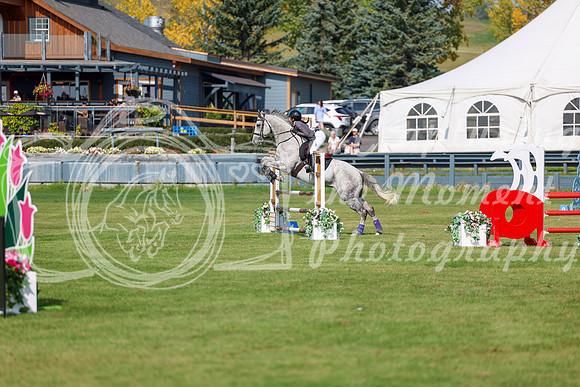 2025 - Shea - Fall Finale - Sunday September 14th - 07530