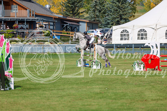 2025 - Shea - Fall Finale - Sunday September 14th - 07531