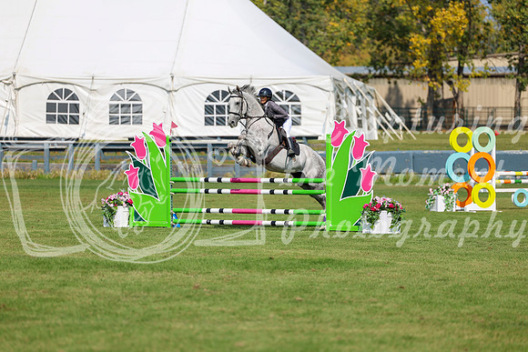 2025 - Shea - Fall Finale - Sunday September 14th - 07534