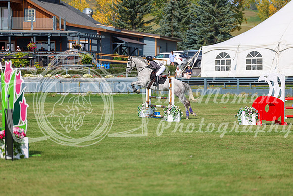 2025 - Shea - Fall Finale - Sunday September 14th - 07532