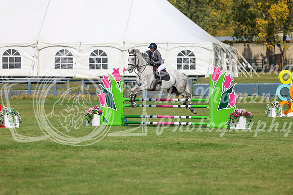 2025 - Shea - Fall Finale - Sunday September 14th - 07539