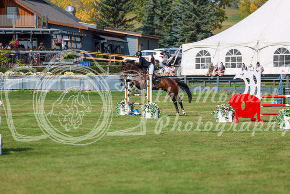 2025 - Shea - Fall Finale - Sunday September 14th - 08880