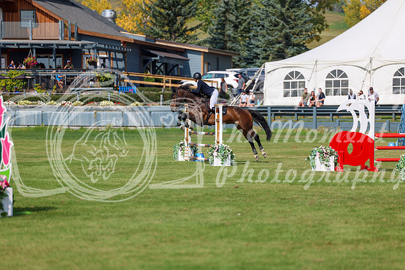 2025 - Shea - Fall Finale - Sunday September 14th - 08881