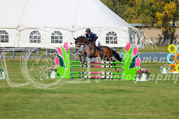 2025 - Shea - Fall Finale - Sunday September 14th - 08887