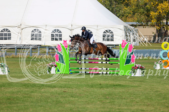 2025 - Shea - Fall Finale - Sunday September 14th - 08888