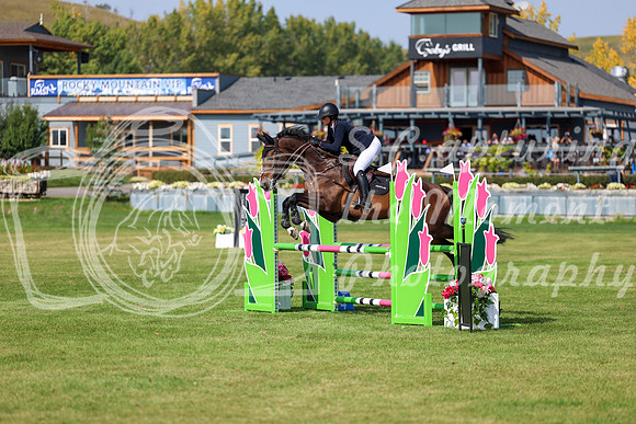 2025 - Shea - Fall Finale - Sunday September 14th - 08895