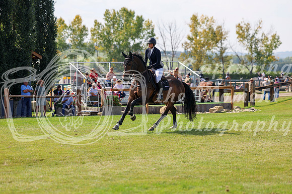 2025 - Shea - Fall Finale - Sunday September 14th - 08902