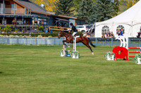 2025 - Shea - Fall Finale - Sunday September 14th - 07806