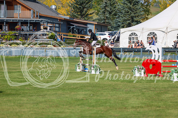 2025 - Shea - Fall Finale - Sunday September 14th - 07806
