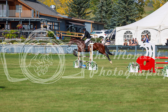 2025 - Shea - Fall Finale - Sunday September 14th - 07807