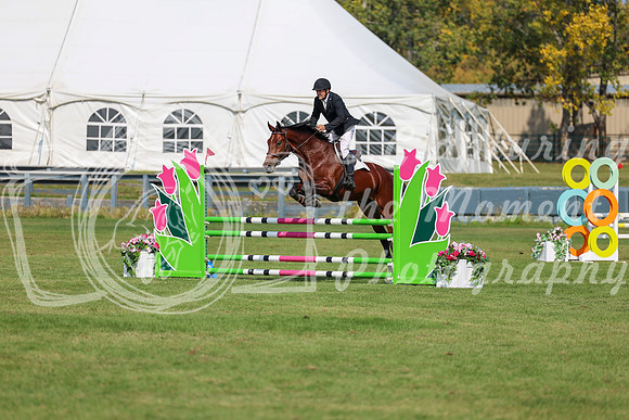 2025 - Shea - Fall Finale - Sunday September 14th - 07810