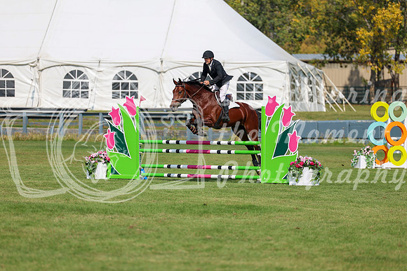 2025 - Shea - Fall Finale - Sunday September 14th - 07811