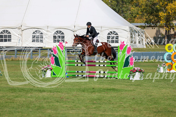 2025 - Shea - Fall Finale - Sunday September 14th - 07813