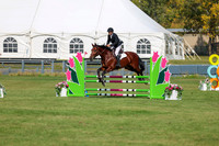 2025 - Shea - Fall Finale - Sunday September 14th - 07814